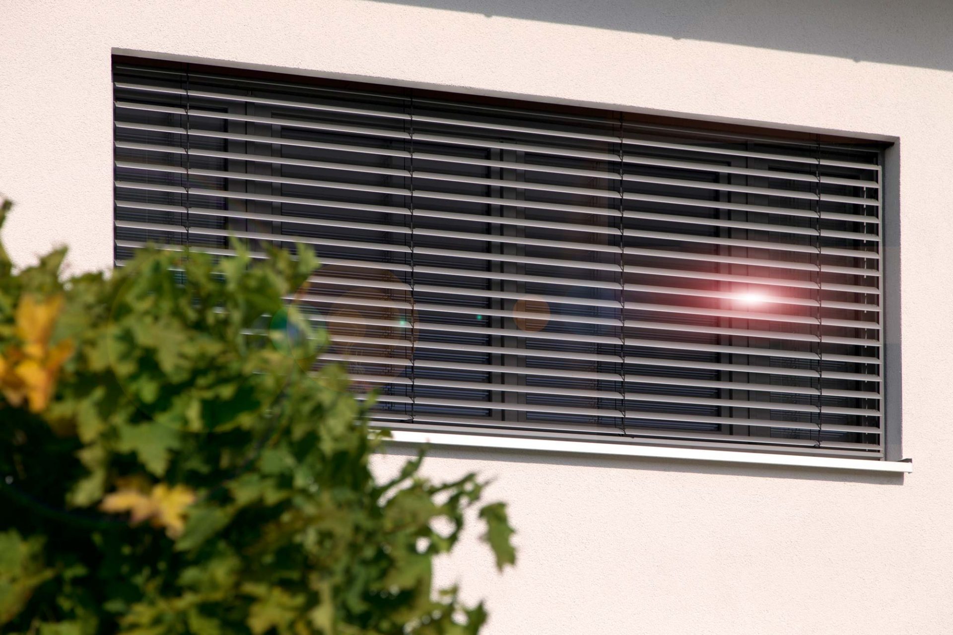 Zeuge Sonnenschutz Außenjalousien – Optimaler Sonnenschutz und Sichtschutz für ein gutes Raumklima.
